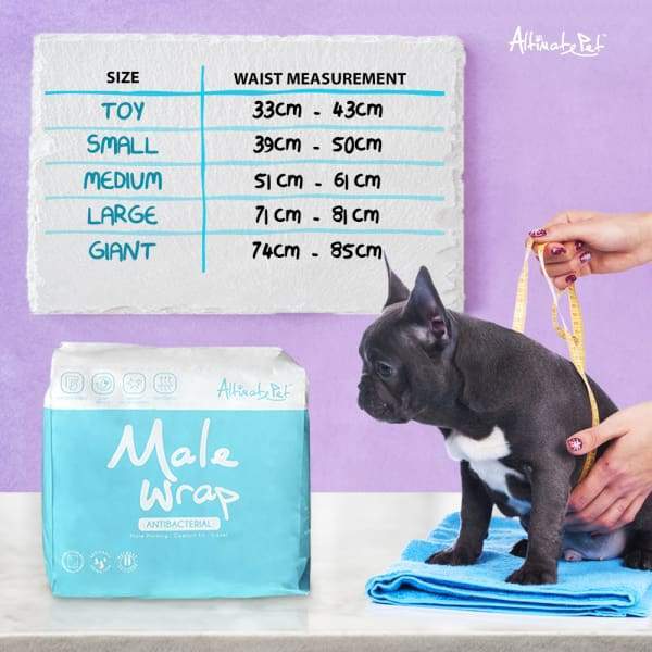 Altimate pet 2025 male wrap