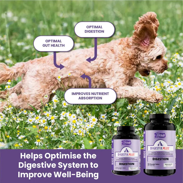 Kala Health [20% OFF] Kala Health Digestix PLUS Optimal Digestion & Maximum Health Pet Supplement 45 Tablets Dog Healthcare