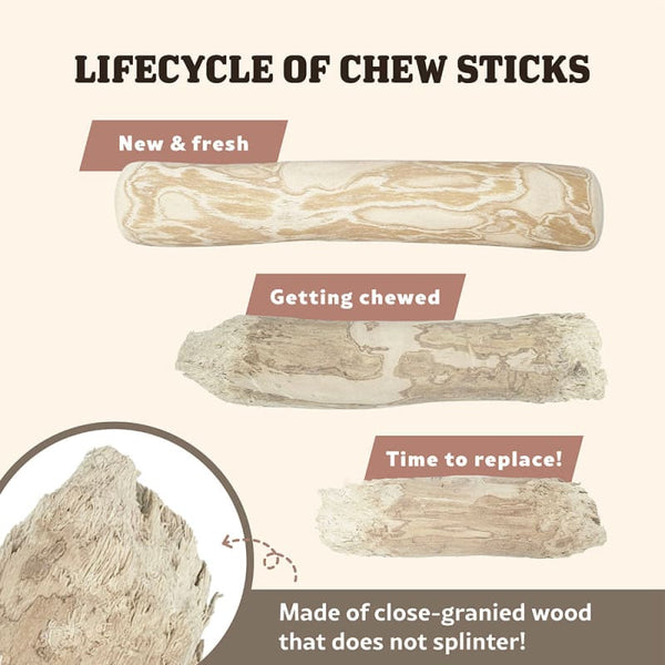 Singapaw Singapaw Coffee Wood Dog Chew (3 Sizes) Dog Accessories