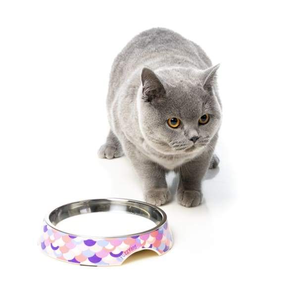 Fuzzyard [15% OFF] Fuzzyard Atlantica Cat Bowl Cat Accessories