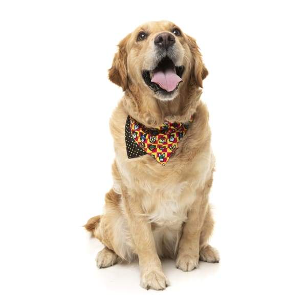 Fuzzyard [15% OFF] Fuzzyard Doggoforce Pet Bandana (2 Sizes) Dog Accessories