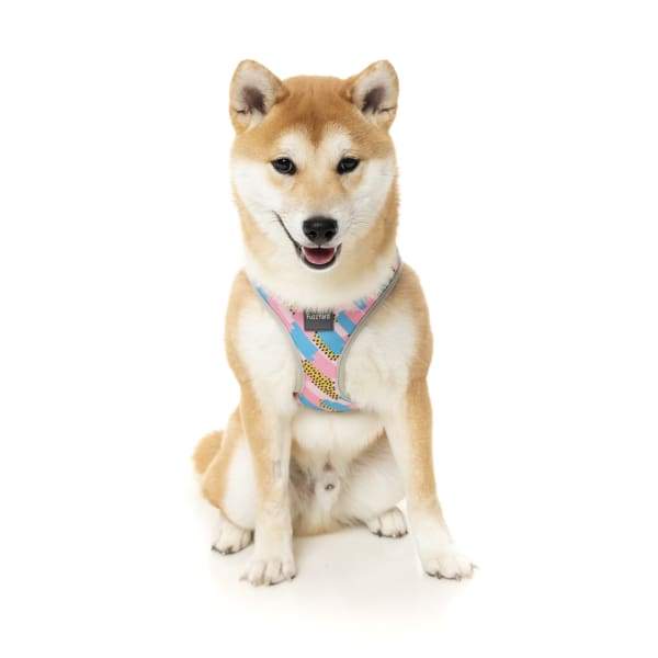 Fuzzyard [15% OFF] Fuzzyard Jiggy Dog Step-in Harness (5 Sizes) General