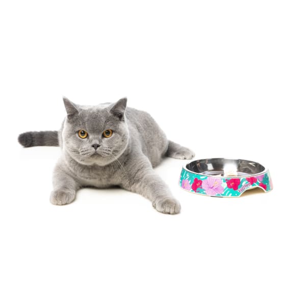 Fuzzyard [15% OFF] Fuzzyard Lahaina Cat Bowl Cat Accessories