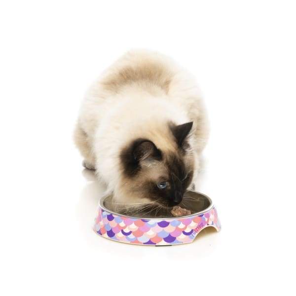 Fuzzyard [15% OFF] Fuzzyard Sushi Delight Cat Bowl Cat Accessories